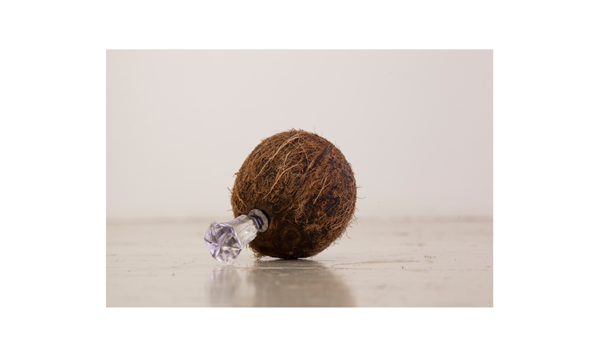 Bomb | 2013 | Coconut, glass 
